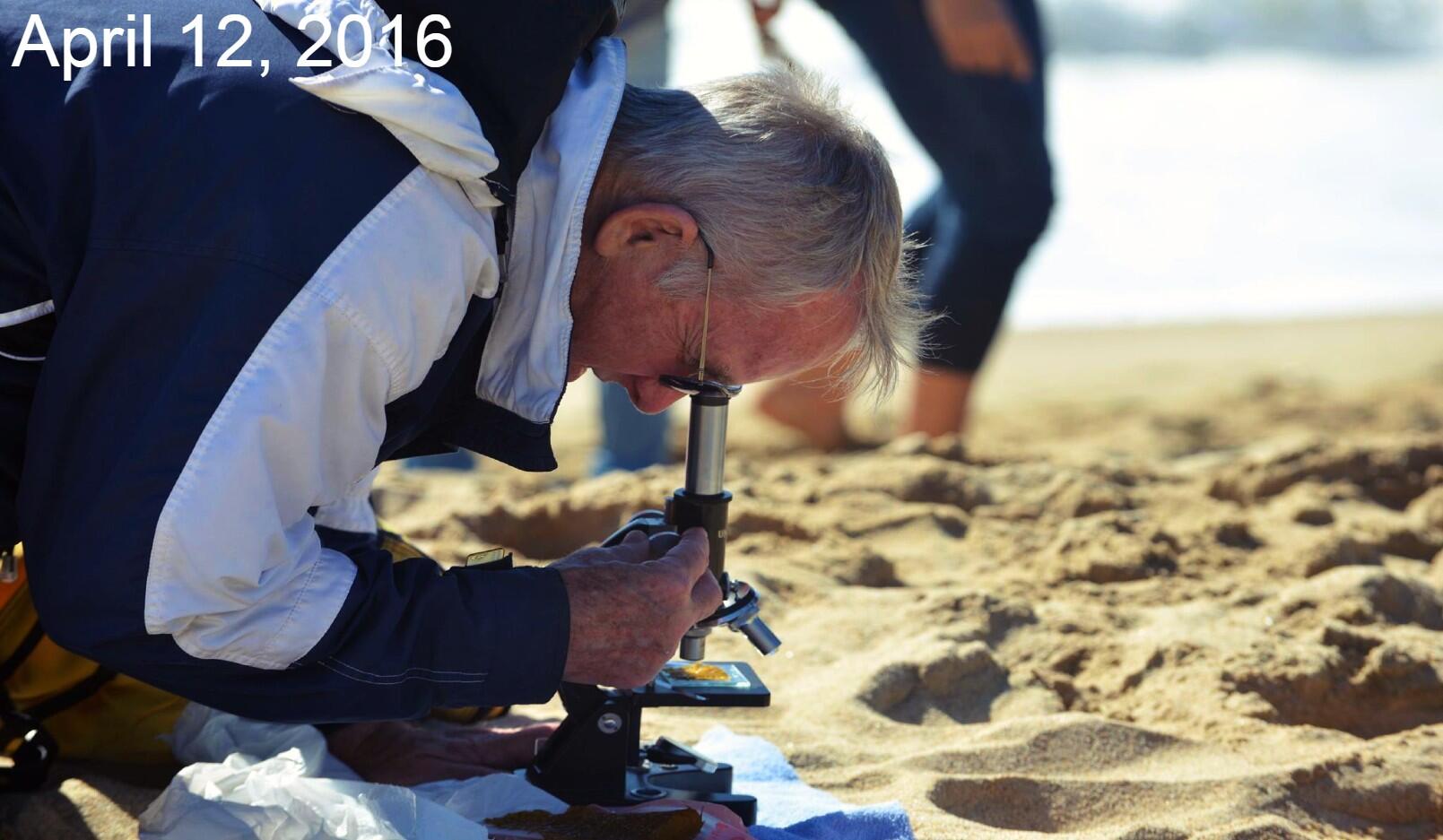 Mr. Osborne doing some science in the sand. 