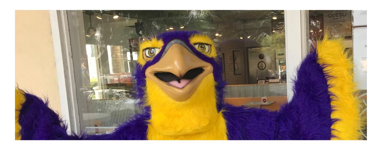 Fern's Mascot Fernie, purple and yellow eagle