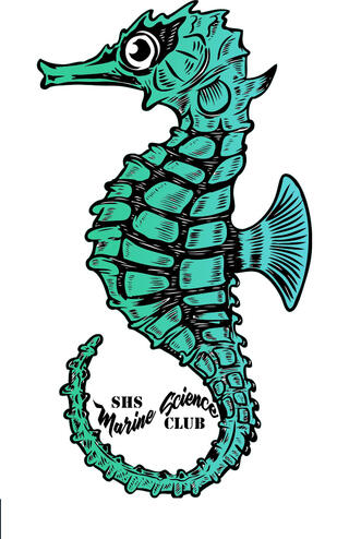 Marine Science Club seahorse graphic