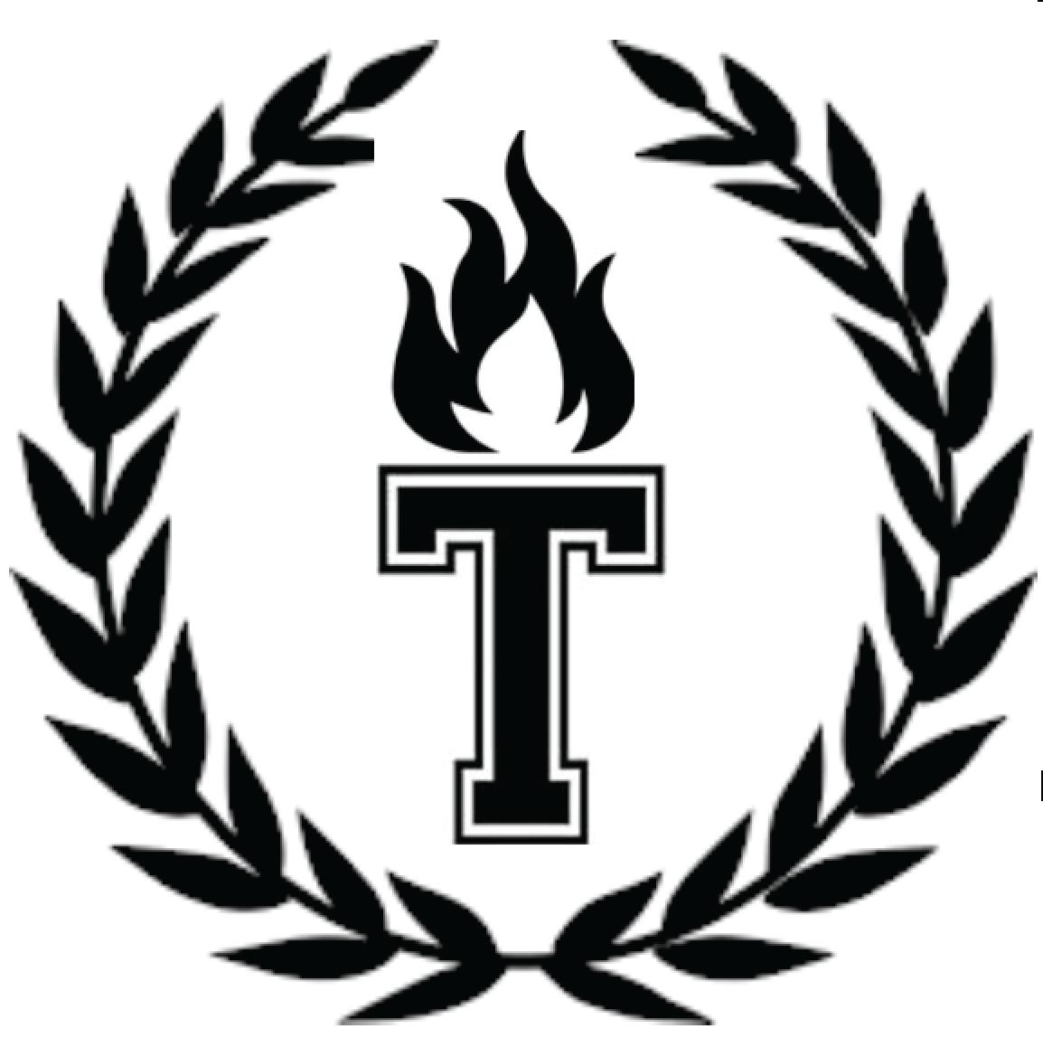 THS News Torch logo