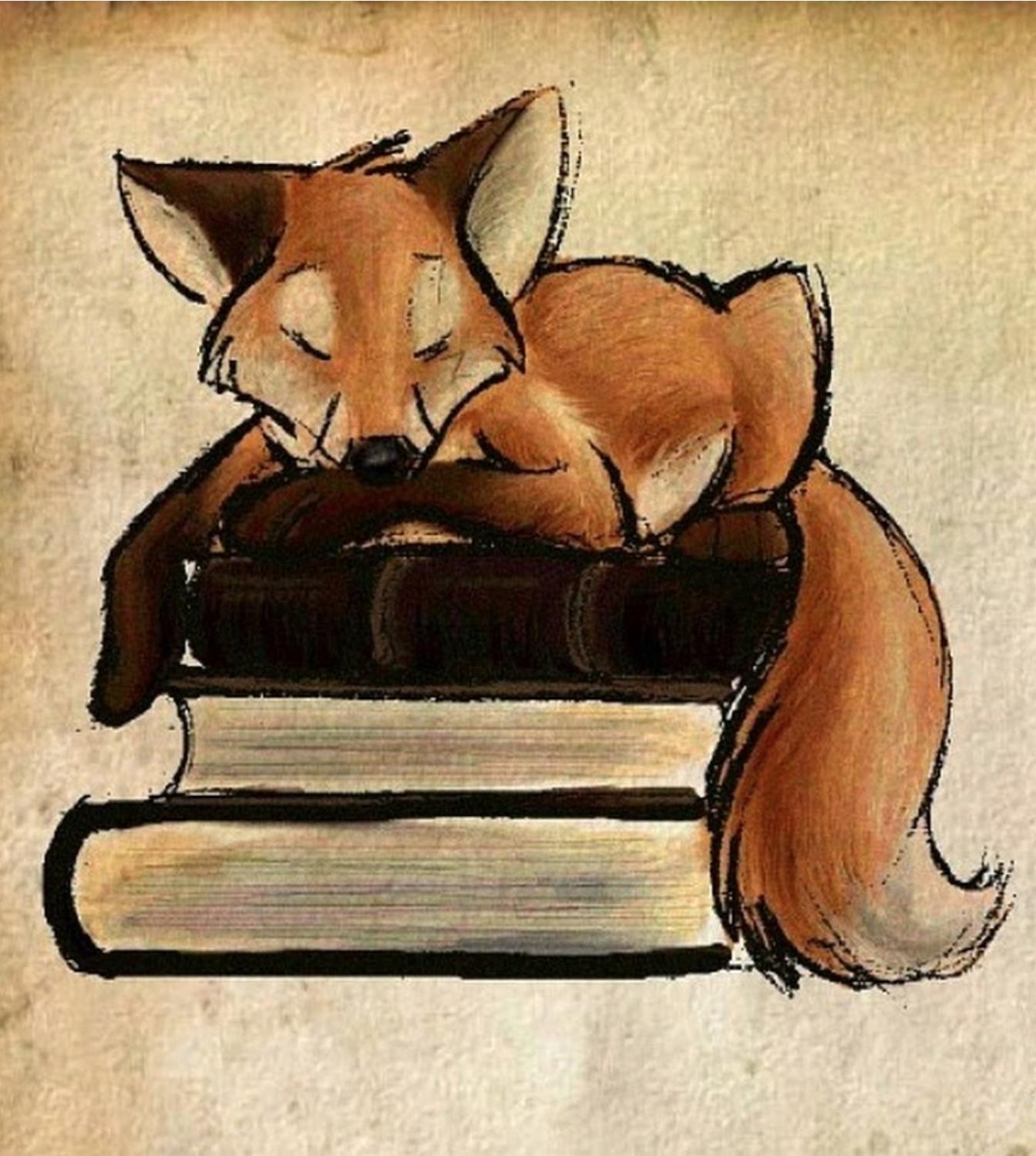 Fox on books
